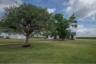 1737 County Rd 425, Clemville, TX 77414 - Photo 5