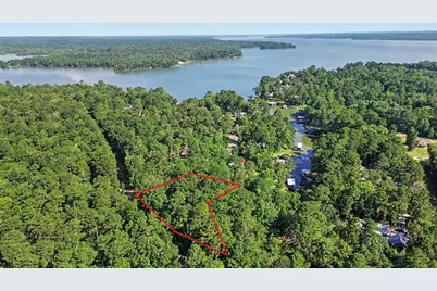 20 Lower Cove Drive, Point Blank, TX 77364 - Photo 1