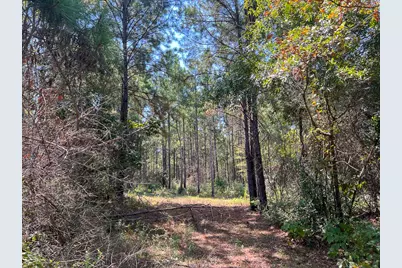 T-6 Fm 256, Woodville, TX 75979 - Photo 15