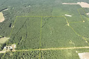 T-6 Fm 256, Woodville, TX 75979 - Photo 1