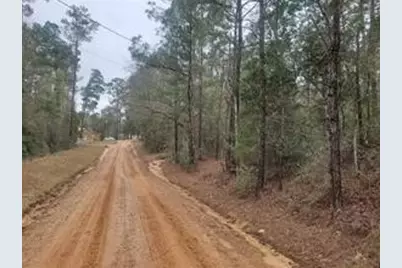 Lots 83 & 84 Gordon Drive, Livingston, TX 77351 - Photo 3