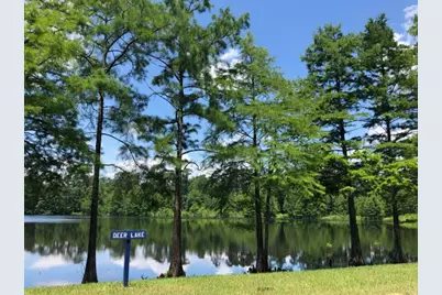 316 Silver Sage Street, Conroe, TX 77304 - Photo 27