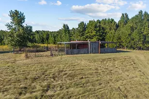 150 Private Rd 6421, Palestine, TX 75803 - Photo 31