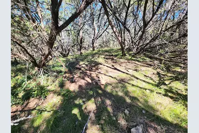 000 Forest Dr, Burnet, TX 78611 - Photo 9