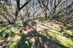 000 Forest Dr, Burnet, TX 78611 - Photo 9