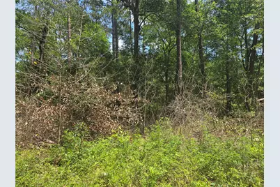 12949 Cedar Tree Court, Plantersville, TX 77363 - Photo 1