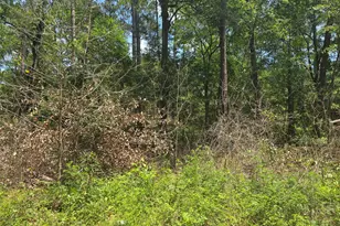 12949 Cedar Tree Ct, Plantersville, TX 77363 - Photo 1