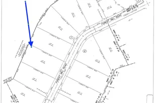 16046 Frst Ml Rd, Willis, TX 77378 - Photo 5