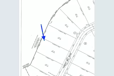 16046 Forest Mill Road, Willis, TX 77378 - Photo 5