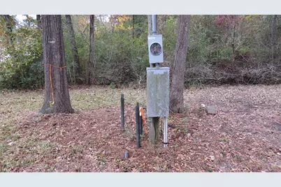 294 & 306 Impala Drive, Onalaska, TX 77360 - Photo 9