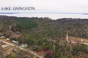 294 & 306 Impala Dr, Onalaska, TX 77360 - Photo 1