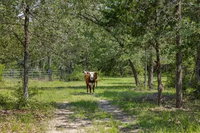 Tbd Halamicek Loop, Fayetteville, TX 78940 - Photo 13