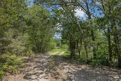 Tbd Halamicek Loop, Fayetteville, TX 78940 - Photo 11