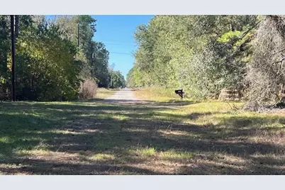 Tbd Clark Road, Plantersville, TX 77363 - Photo 1
