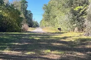 Tbd Clark Rd, Plantersville, TX 77363 - Photo 1