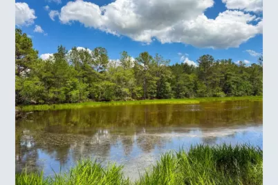 Xxx Private Rd 5170, Kirbyville, TX 75956 - Photo 45