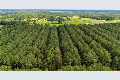 Xxx Private Rd 5170, Kirbyville, TX 75956 - Photo 23