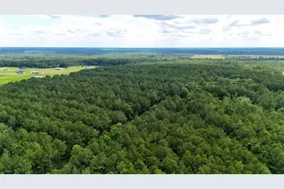 Xxx Private Rd 5170, Kirbyville, TX 75956 - Photo 21