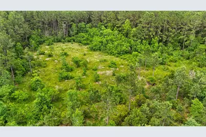 Xxx Private Rd 5170, Kirbyville, TX 75956 - Photo 43