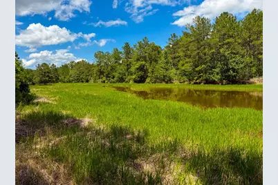 Xxx Private Rd 5170, Kirbyville, TX 75956 - Photo 49