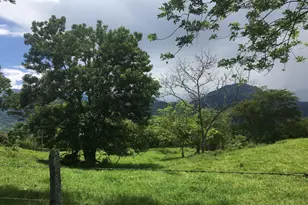 Lote 5 Palma Real, , CO - Photo 3