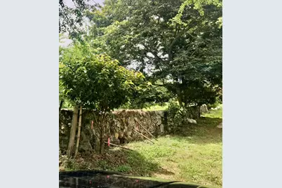 Lote 5 Palma Real, , CO  - Photo 5