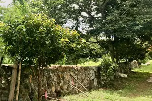Lote 5 Palma Real, , CO - Photo 5