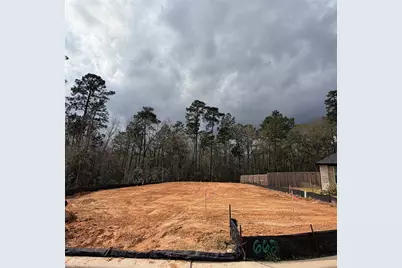 662 Paisley Harbor Court, Conroe, TX 77304 - Photo 21