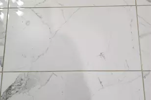 21007 Whitehaven Bluff Trail, Katy, TX 77449 - Photo 39