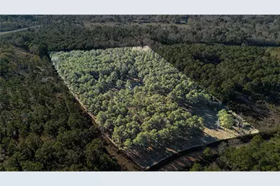 235 Bracewell Cemetery Road, Livingston, TX 77351 - Photo 25