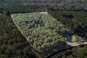 235 Bracewell Cemetery Rd, Livingston, TX 77351 - Photo 25