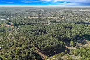 235 Bracewell Cemetery Rd, Livingston, TX 77351 - Photo 27