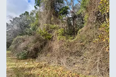 Tbd Fm 92, Woodville, TX 75979 - Photo 7