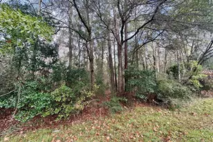 Tbd Fm 92, Woodville, TX 75979 - Photo 1