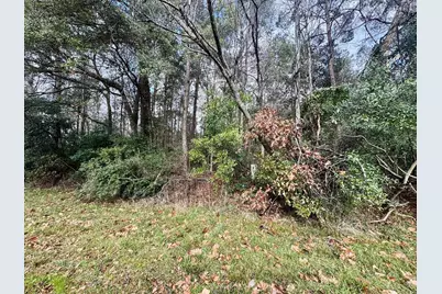 Tbd Fm 92, Woodville, TX 75979 - Photo 3