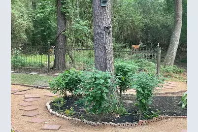 93 N Acacia Park Circle, The Woodlands, TX 77382 - Photo 5