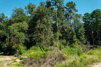 25865 Somerset, New Caney, TX 77357 - Photo 5