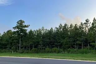 15685 Wood Grv Wy, Willis, TX 77378 - Photo 3