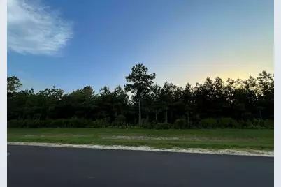 15685 Wood Grove Way, Willis, TX 77378 - Photo 13