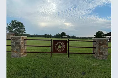 15685 Wood Grove Way, Willis, TX 77378 - Photo 9