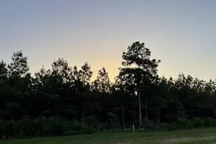 15685 Wood Grv Wy, Willis, TX 77378 - Photo 7