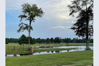 15685 Wood Grove Way, Willis, TX 77378 - Photo 5