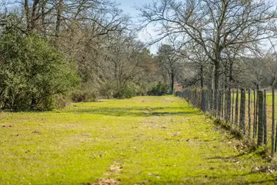 1009 County Road 324, Navasota, TX 77868 - Photo 21