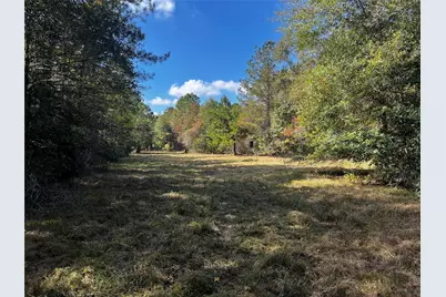 0 County Road 2314, Dayton, TX 77535 - Photo 15