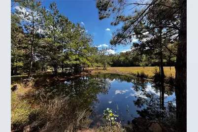 0 County Road 2314, Dayton, TX 77535 - Photo 5