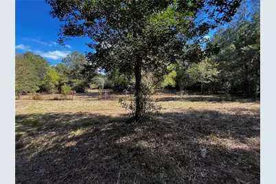 0 County Road 2314, Dayton, TX 77535 - Photo 13