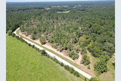 Tbd Vick Spring Road, New Waverly, TX 77358 - Photo 7