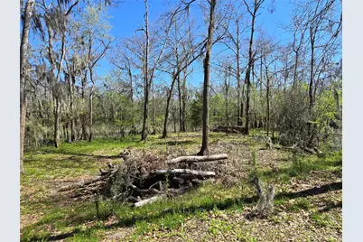 401 County Road 2869, Cleveland, TX 77327 - Photo 7