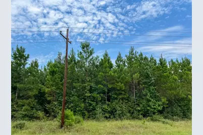 36 Highway 94 Road, Groveton, TX 75845 - Photo 7