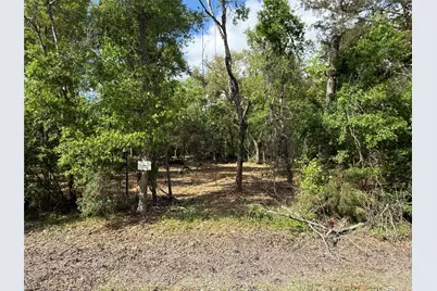 1 Cr 289, Sweeny, TX 77480 - Photo 3